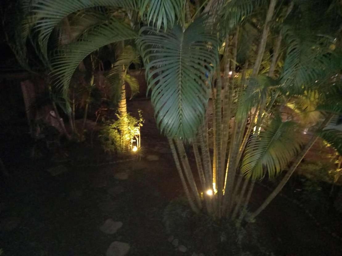 Oasis Palms Hotel Nadi Eksteriør billede